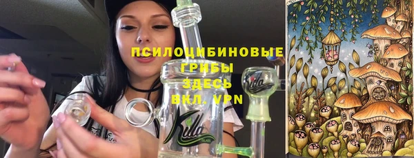 МДМА Богданович